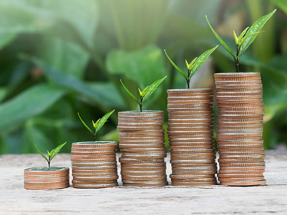 The 5 Golden Rules of Investing Every Nigerian Should Know